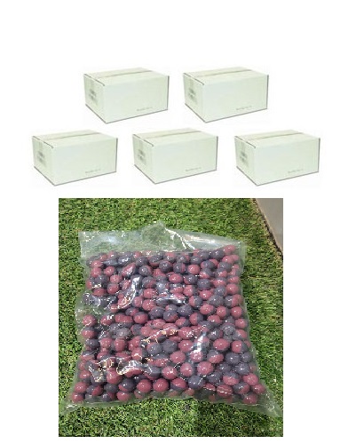 5 x Field Paintballs in white box Cal 0.68 ; 2000 unds - *Envío Gratis 2/3 Dias